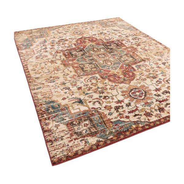 Szőnyeg 240x340 cm Raja – Asiatic Carpets-image-3