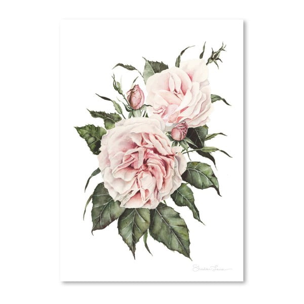 Pink Garden Roses by Shealeen Louise 30 x 42 cm-es plakát