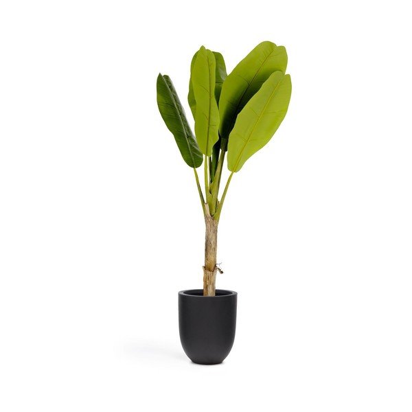 Pálma műnövény (magasság 160 cm) Baa – Kave Home