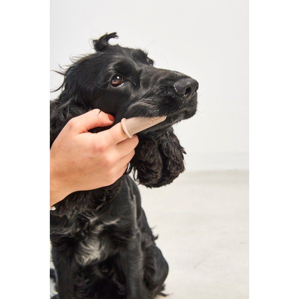 Kisállat fogkefe szett Dito – MiaCara-image-1