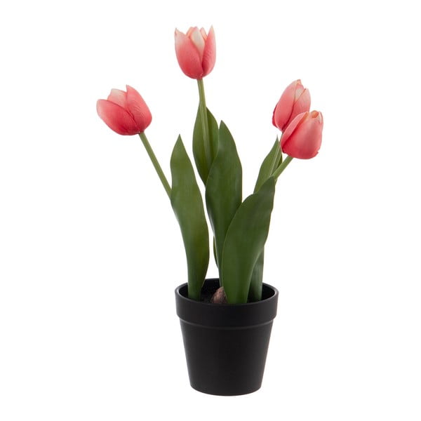 Művirág (magasság 31 cm) Tulips – Ixia