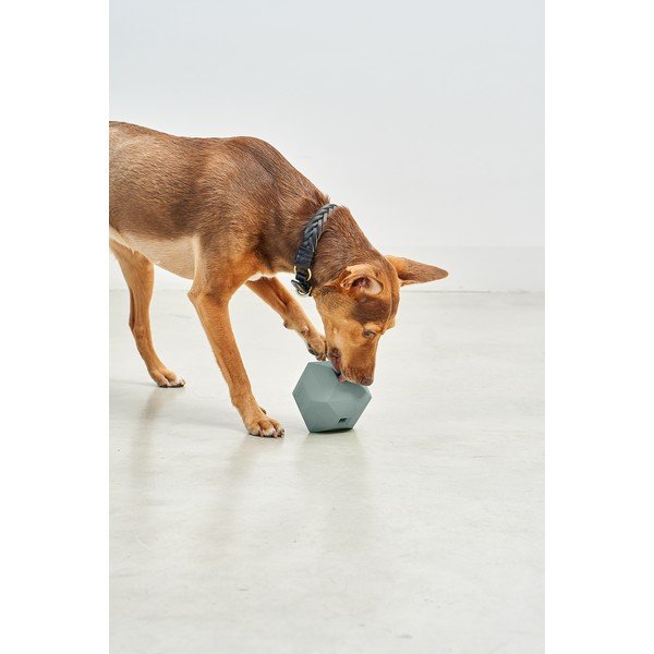 Kutyajáték Dado Eucalyptus – MiaCara-image-1