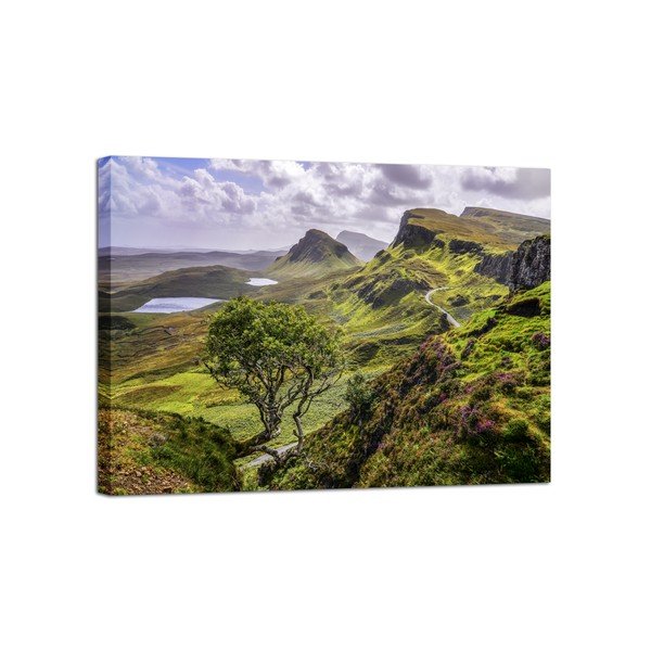 Canvas Scotland Nature fali kép, 85 x 113 cm - Styler