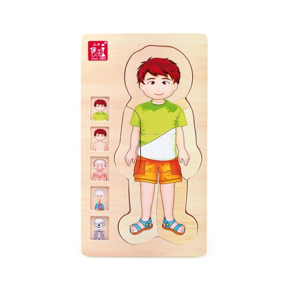 Anatomy Boy fajáték - Legler-image-1