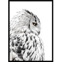 Keretezett poszter 50x70 cm Owl – Styler