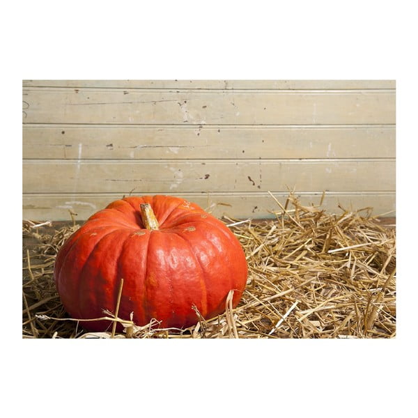 Pumpkin vinilszőnyeg, 52 x 75 cm