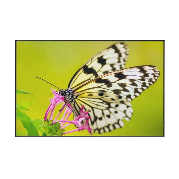 Butterfly zöld szőnyeg, 80 x 140 cm - Oyo home