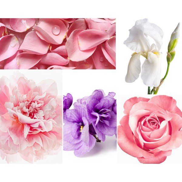 Pálcás illatosító Rose Pivoine 200 ml - Privé Home-image-1
