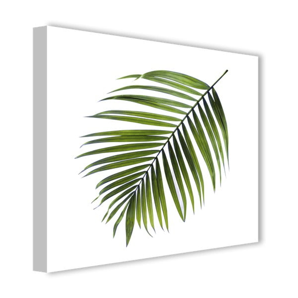 Canvas Greenery Black Palm kép, 32 x 32 cm - Styler-image-2