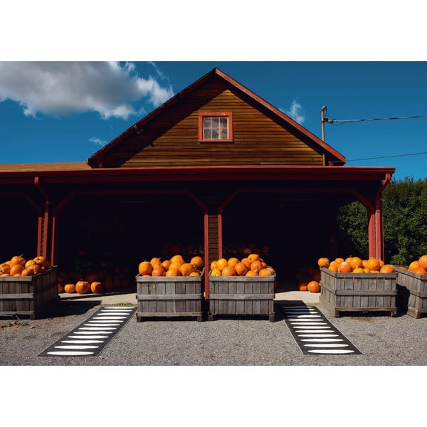 Fekete kültéri-beltéri futószőnyeg 70x300 cm Ella Black – Pappelina-image-3