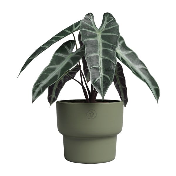 Kerámia kézzel készített virágcserép ø 17 cm Echo – Artevasi-image-2