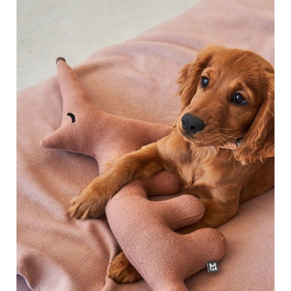 Kutyajáték Bosco Rabbit – MiaCara-image-3