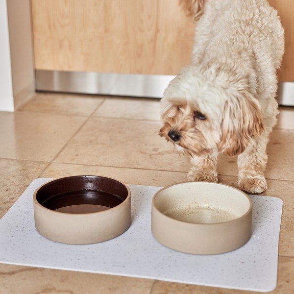 Kerámia tálka kutyáknak ø 13 cm Sia – OYOY Living Design-image-2