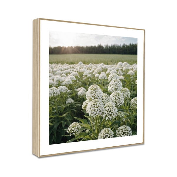 Kép szett 4 db-os 30x30 cm Sunrise Hike-image-4