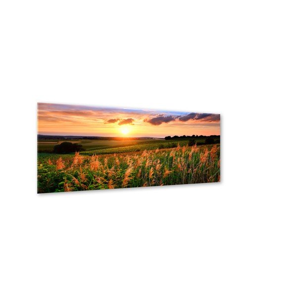 Glas Sunset Meadow kép, 50 x 125 cm - Styler-image-1