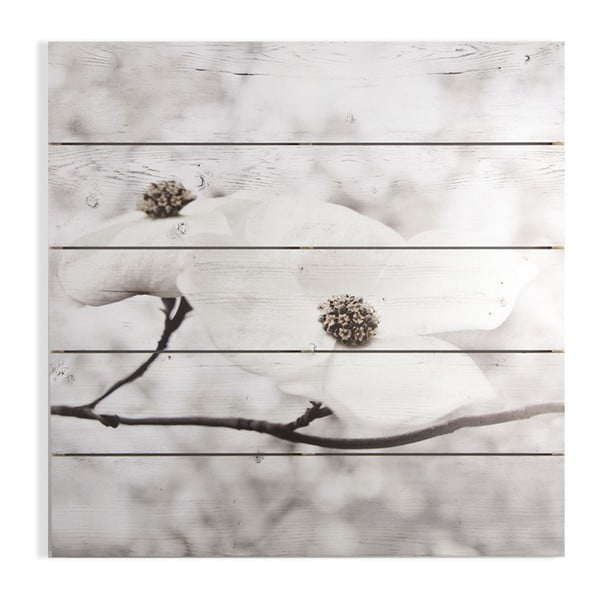 Serenity Blossoms fa kép, 60 x 60 cm - Graham & Brown
