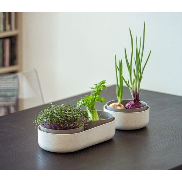 Műanyag csíráztató tálka Microgreens + Regrow – Plastia-image-1
