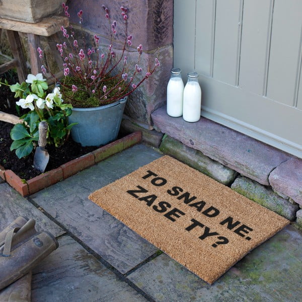 Kókuszrost lábtörlő 40x60 cm Zase Ty? – Artsy Doormats-image-3