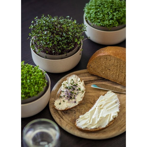 Műanyag csíráztató tálka Microgreens + Regrow – Plastia-image-3