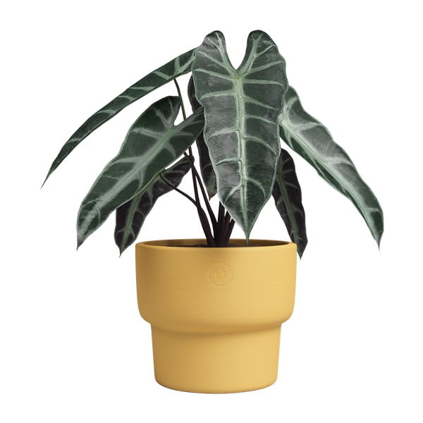 Kerámia kézzel készített virágcserép ø 20 cm Echo – Artevasi-image-3