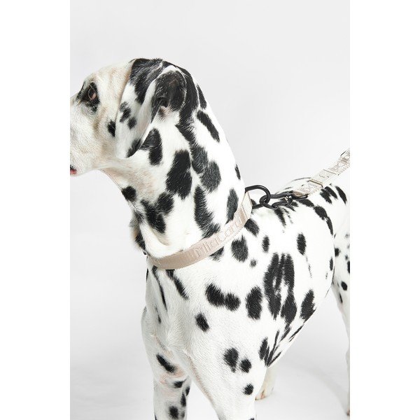 Bézs nyakörv M/L hosszúság 35 cm Modena Greige M/ML – MiaCara-image-1