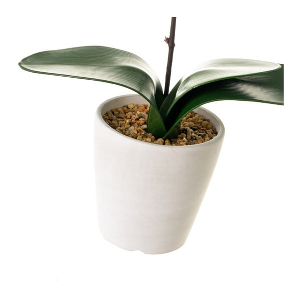 Műnövény (magasság 45 cm) Orchid – Casa Selección-image-2