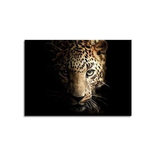 Üveg kép 70x100 cm Leopard - Styler