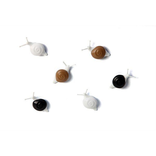 Snail 6 db mágnes - Qualy&CO-image-1
