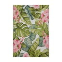 Kültéri szőnyeg 120x180 cm Flair – Hanse Home