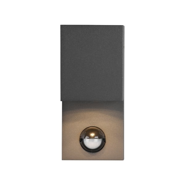 Fali kültéri lámpa mozgásérzékelővel (magasság 15 cm) Roya – Trio-image-3