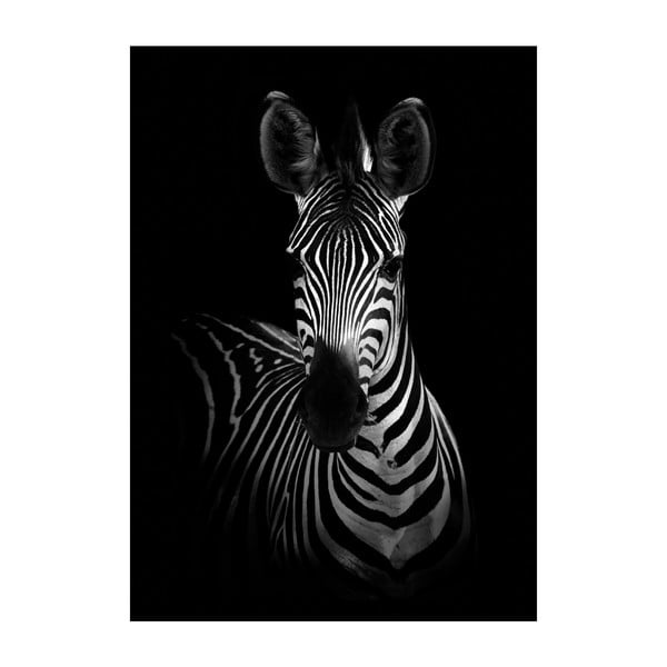 Mighty Zebra plakát, 40 x 30 cm - Imagioo