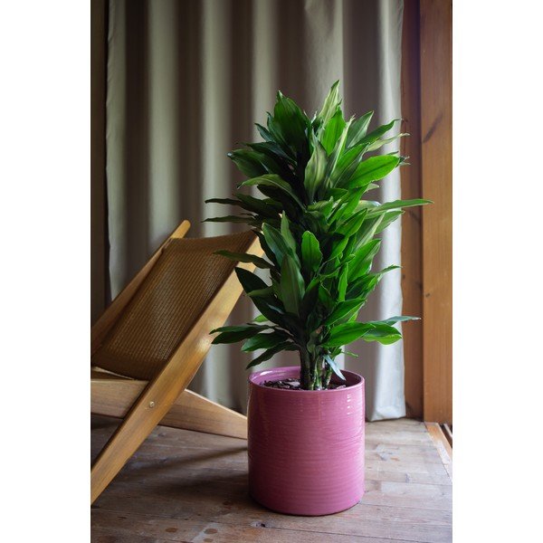 Kerámia kézzel készített kaspó ø 25 cm Fortuna – Artevasi-image-1