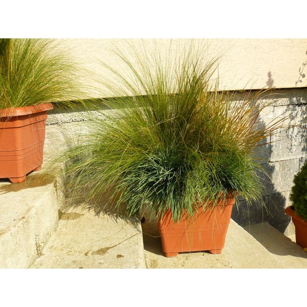 Bergamot barna önöntöző virágcserép, 50 x 50 cm - Plastia-image-1