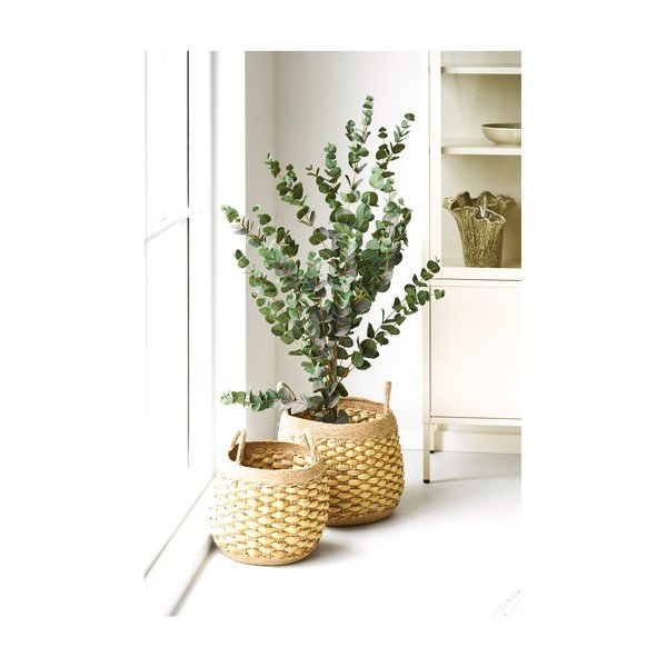 Tengerifű virágcserép készlet 2 db-os ø 38,5 cm Strahan – House Nordic-image-2