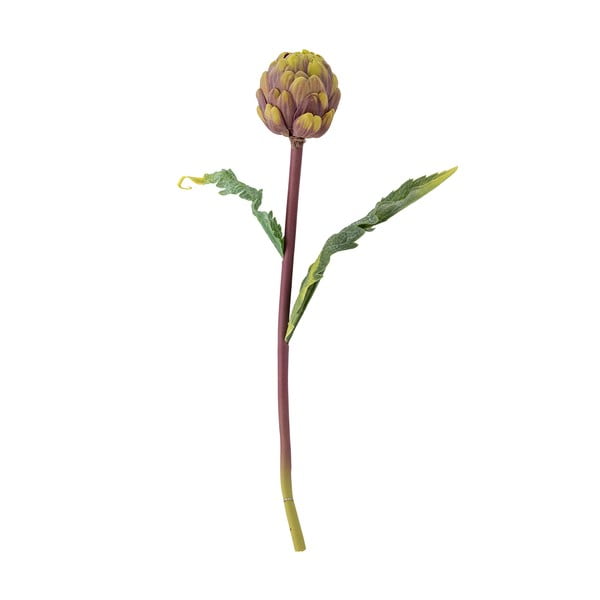 Művirág (magasság 54 cm) Protea – Bloomingville