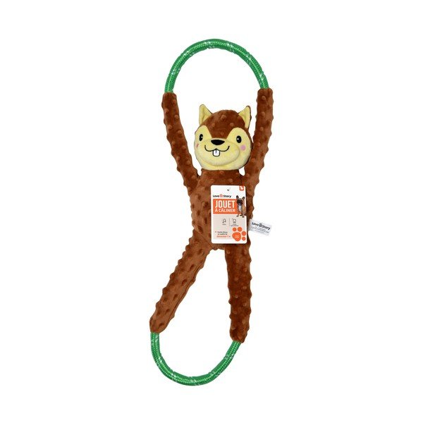 Kutyajáték Squirrel – Love Story-image-1