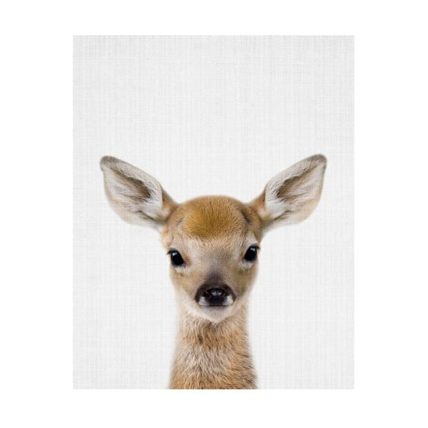 Baby Animals Deer poszter, 30 x 40 cm - Blue-Shaker
