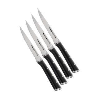 Rozsdamentes acél steak kés szett 4 db-os Ice Force - Tefal
