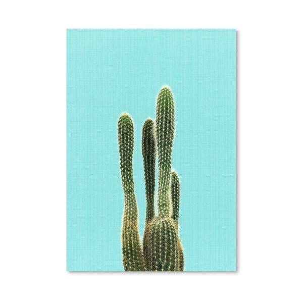 Cactus On Blue poszter - Americanflat