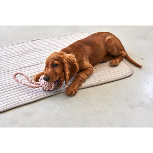 Szürke pamut takaró kutyáknak 60x80 cm Onda Greige S – MiaCara-image-3