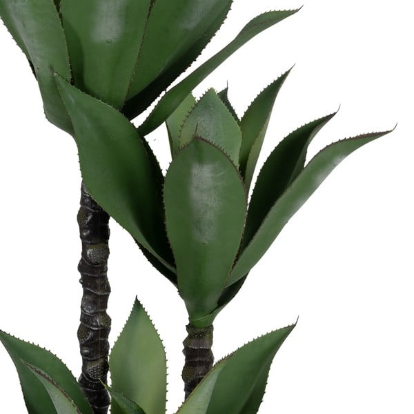 Műnövény (magasság 120 cm) Agave – Ixia-image-3