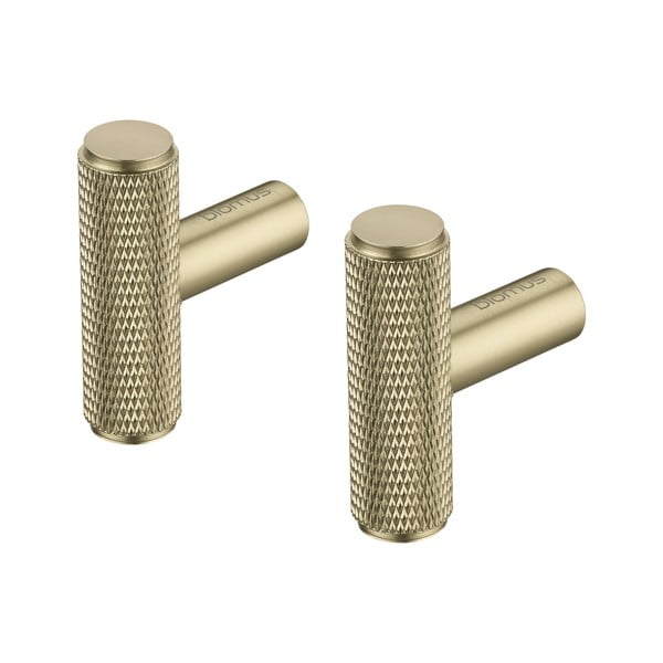 Sárgaréz színű fali fém akasztó szett 2 db-os Rof – Blomus