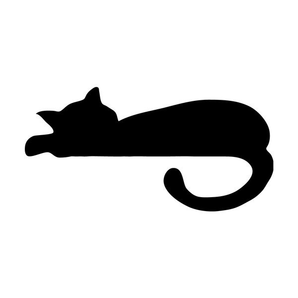 Sleeping Cat Mini falmatrica - Ambiance-image-2