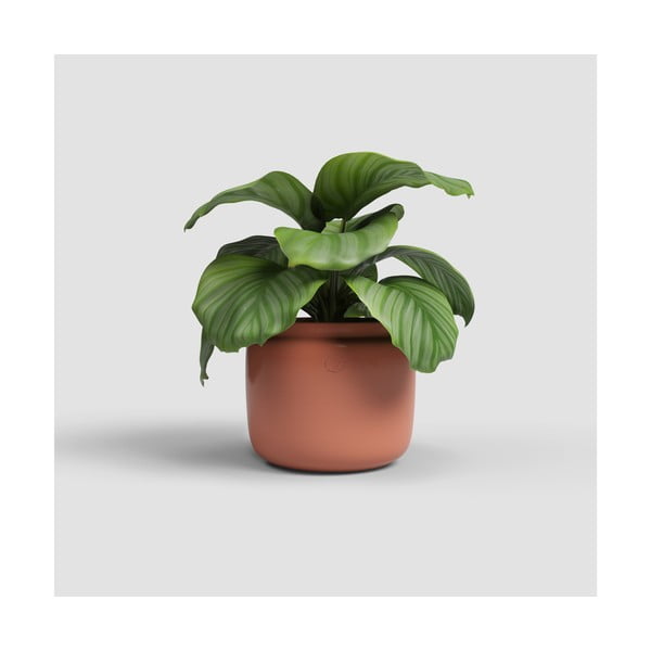 Kerámia kézzel készített virágcserép ø 20 cm Astrea – Artevasi-image-1