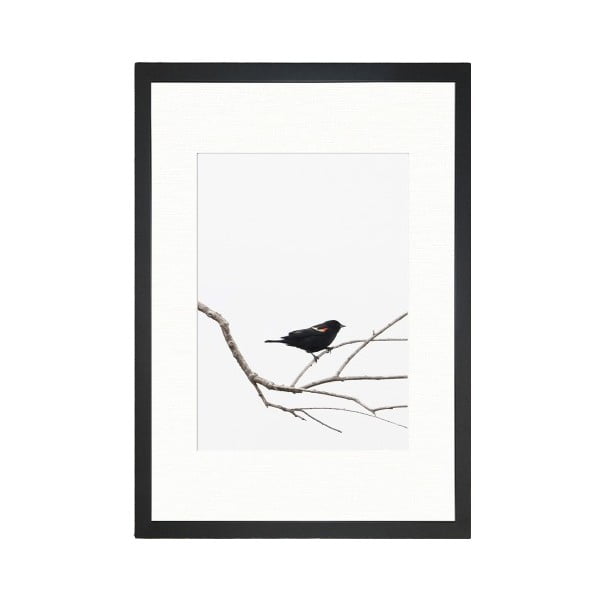 Poszter 24x29 cm Bird on the Branch – Tablo Center