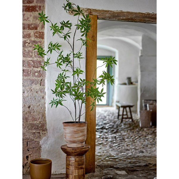 Műnövény (magasság 160 cm) Palmatum – Bloomingville-image-1