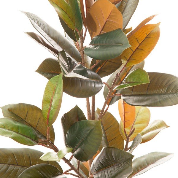 Fikusz műnövény (magasság 90 cm) Ficus – Ixia-image-1