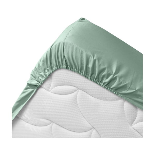 Világoszöld gumis bio pamut lepedő 140x190 cm Biolina – douceur d'intérieur-image-3