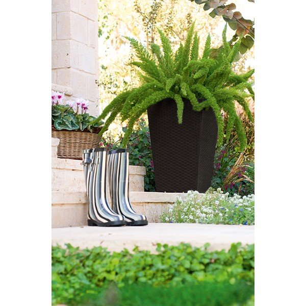 Műanyag kaspó Rattan – Keter-image-1