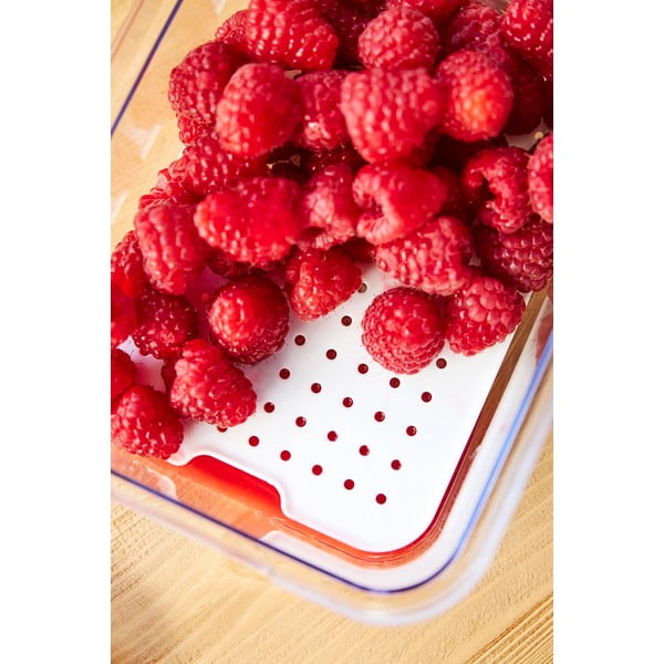 Műanyag hűtőszekrény rendszerező Cauma – Rotho-image-3